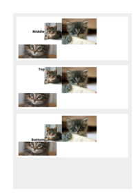 typeset Preview